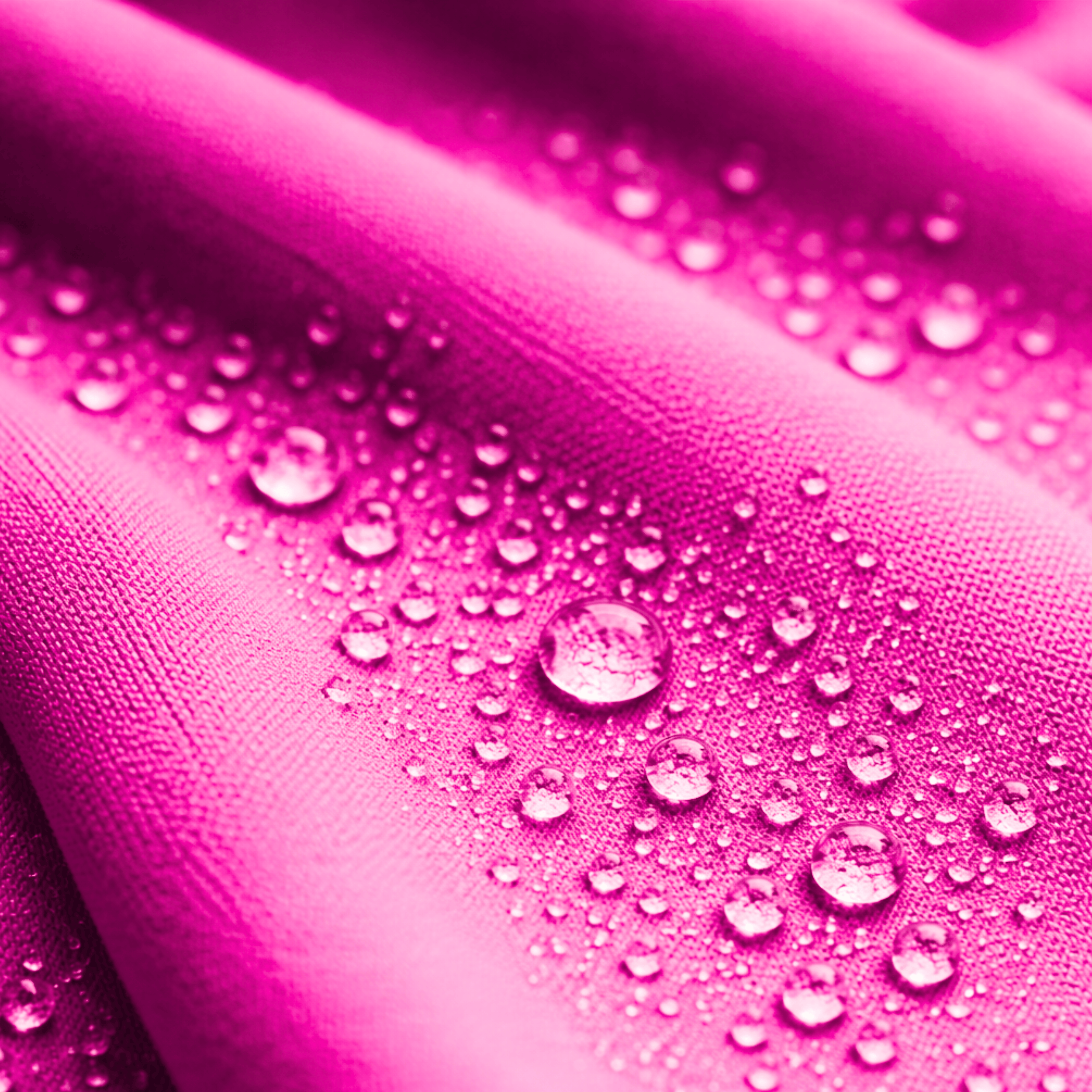 On-Call Jade Bottoms ™️